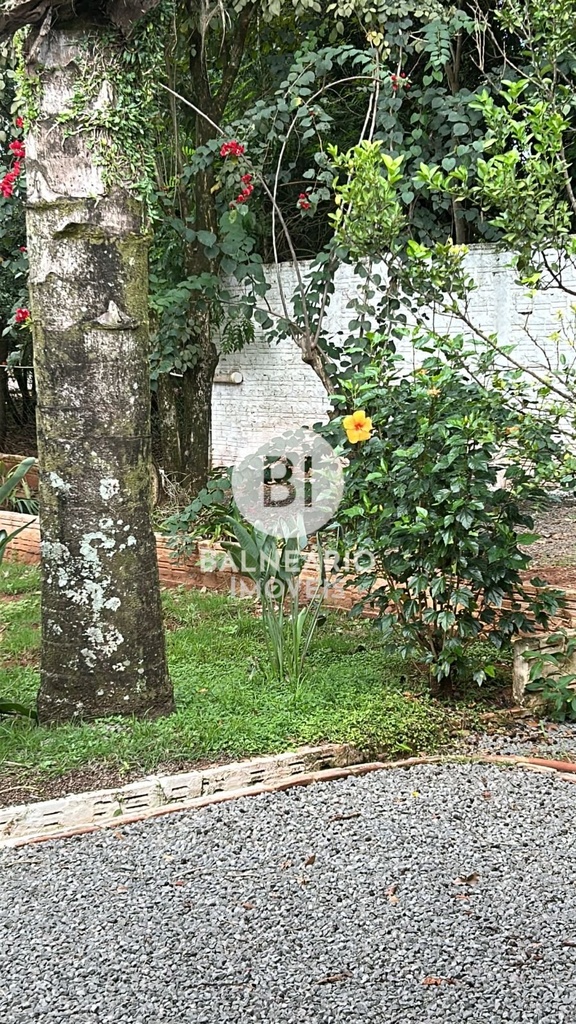 cha21.jpeg