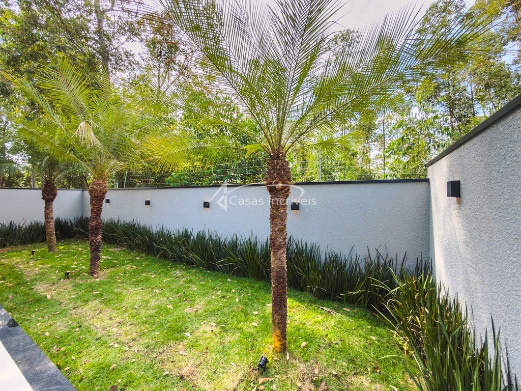 IMG_7172.jpg