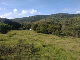 Fazenda/Sítios/Chácaras de 8 quartos, no bairro São Bartolomeu, em Ouro Preto | Eu Corretor