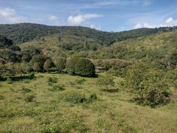 Fazenda/Sítios/Chácaras de 8 quartos, no bairro São Bartolomeu, em Ouro Preto | Eu Corretor