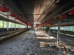 Fazenda/Sítios/Chácaras de 3 quartos, no bairro interior, em Jaborá | Eu Corretor
