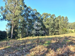 Fazenda/Sítios/Chácaras de 3 quartos, no bairro interior, em Jaborá | Eu Corretor