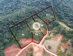 Lote/Terreno de 2854m² no bairro Moura, em Canelinha | Eu Corretor