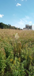 Lote/Terreno de 351m² no bairro Camobi, em Santa Maria | Eu Corretor