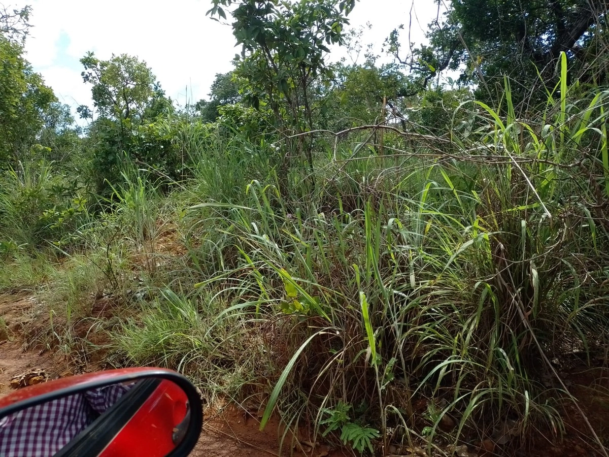 Fazenda/Sítios/Chácaras de 4425000m² no bairro Não informado, em Buritis | Eu Corretor